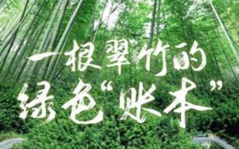 杭州防腐竹地板排名前十(防腐竹地板十大排名)