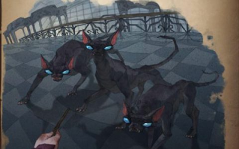 哈利波特魔法觉醒马达戈猫图鉴(哈利波特魔法觉醒宠物哪里来)