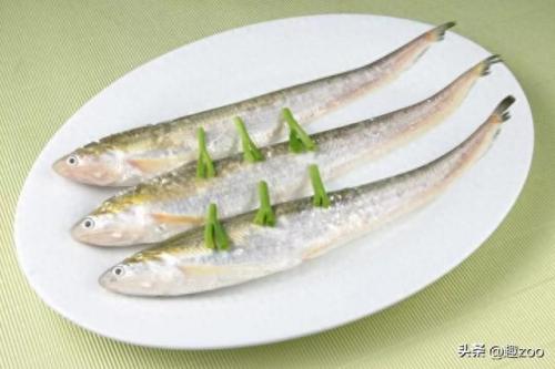 淡水鱼十大排行榜(十大高端淡水鱼)插图1