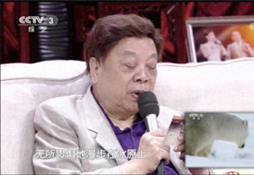 全球资讯主持人排名前十(全球十大主持人排行榜)插图28