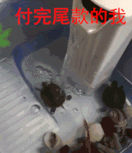 新乡各种面膜十大排行榜(十大品牌面膜排行)插图16