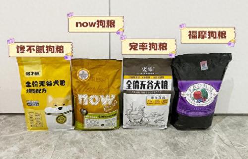 最新世界十大聪明犬排行榜(最聪明的大型犬排行)插图5