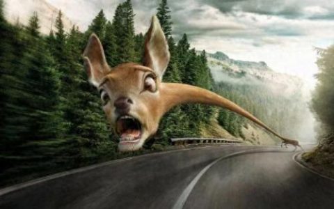 世界上最危险公路排名前十(危险公路纪录片第一季)