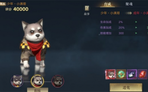 新盗墓笔记手游少年小黄鸡怎么获得(盗墓笔记手游小黄鸡)
