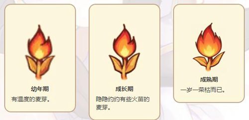 诺弗兰物语火焰麦穗怎么获得(诺弗兰物语黄金小麦怎么解锁)插图1