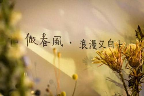 徐州十大石锅菜排行榜(五中石锅菜地址)插图60