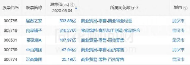 武汉自贸区企业排名前十(武汉自贸区开公司)插图2