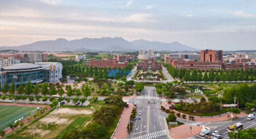 韩国大学经营学院排名前十(韩国大学商科强校)插图9