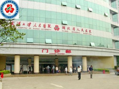 国家级医院内科排名前十(全国医院排名前30名单)插图49