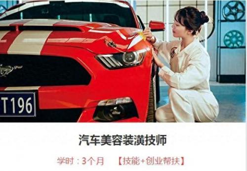 吉林省十大美容学校排行榜(十大最坑宠物美容学校)插图1