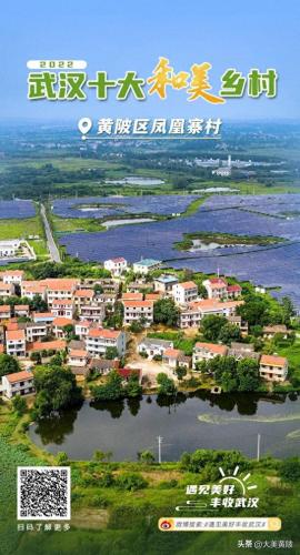 武汉乡村旅游区排名前十(武汉民宿排名前十)插图