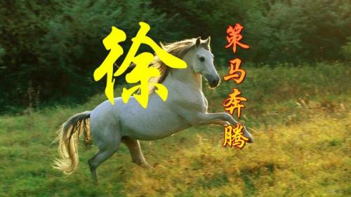百家姓qq头像(百家姓头像大全真实图)插图37