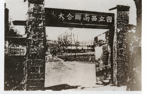 洛克王国夜阑加尔(洛克王国魅影幽兰)插图6