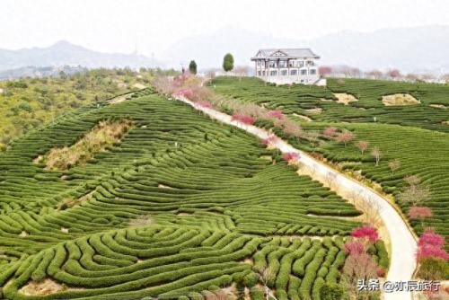 泉州景点瀑布排名前十(泉州岱仙瀑布)插图21