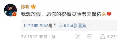 陈妍希怀孕(陈晓陈妍希)插图9