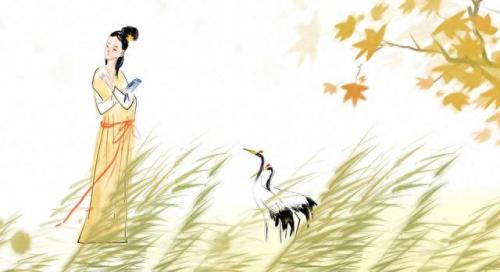 雨露均沾后宅全(雨露空间后宅)插图