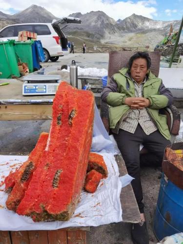 lol新浪百宝箱(新浪百宝箱怎么设置一键换装)插图19