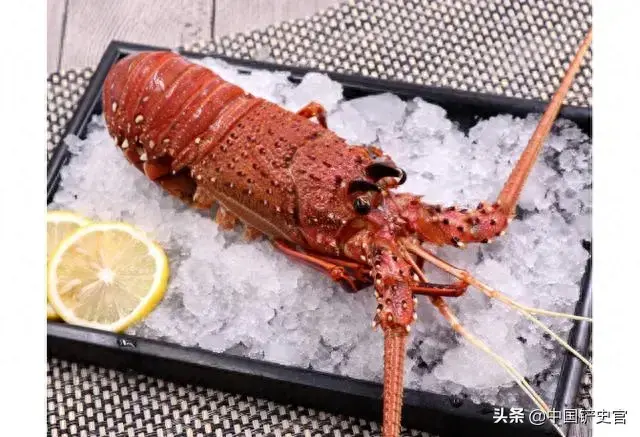 龙虾档次排名前十(龙虾品质排名)插图3