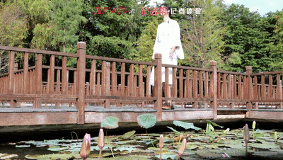 厦门公园排名前十(厦门中山公园)插图4