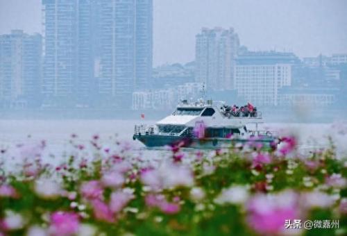 排名前十个(前20名排名)插图8