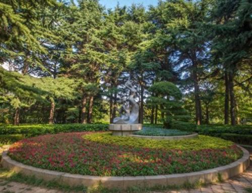中山孙文纪念公园(中山孙文纪念公园杜鹃花开了吗)插图