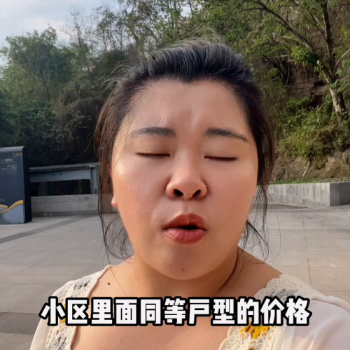 内江买房平台排名前十(内江楼盘明细)插图5
