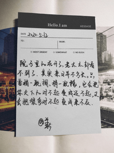 上海市南汇区文院街(上海南汇区文院街图片)插图1