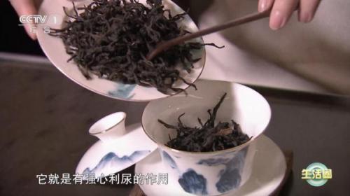 春困秋乏夏打盹下一句怎么接(春困秋乏完整的句子)插图