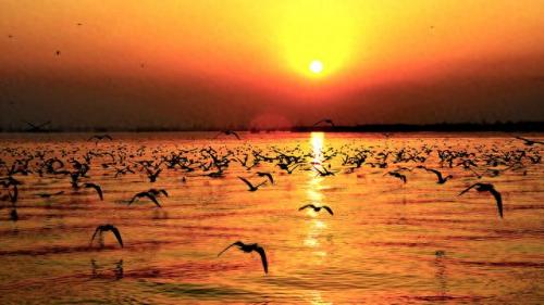 宁夏道观排名前十(宁夏旅游景点十大排名)插图5