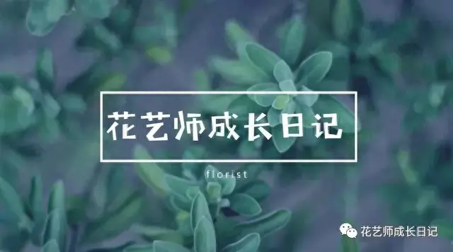 仙女插花是什么意思(网络用语仙女插花的意思)插图