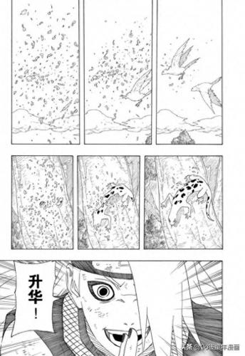 火影忍者360(火影忍者360集)插图11