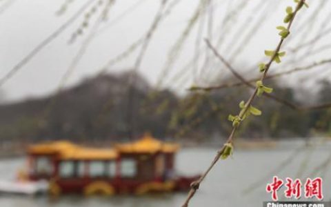 惊蛰的拼音怎么读(谍战深海之惊蛰拼音怎么写)