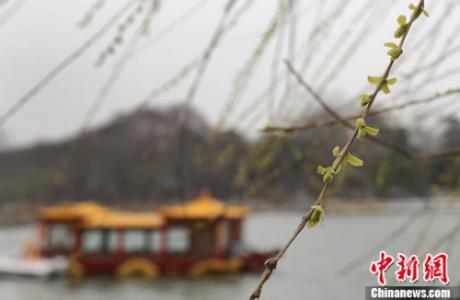 描写惊蛰节气的诗句有哪些-(惊蛰品茶诗句)插图