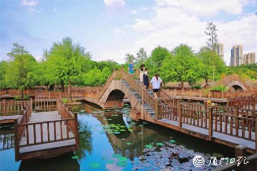 厦门公园排名前十(厦门中山公园)插图2