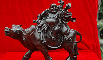 中国木材排名前十(中国十大木材名单)插图5