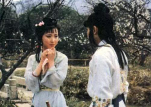 红楼梦十大诡异细节(红楼梦87版全集完整版)插图6