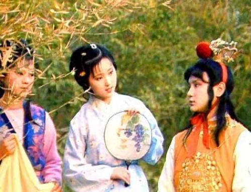 红楼梦十大诡异细节(红楼梦87版全集完整版)插图3