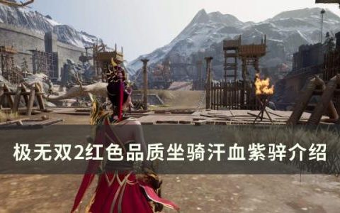 极无双2汗血紫骍怎么样(极无双2灵玉怎么选择)