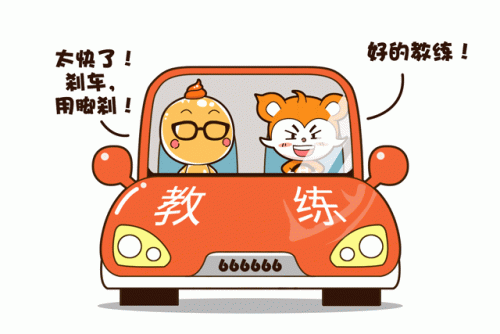 嘉兴驾校排名前十(嘉兴驾校排名一览表)插图2