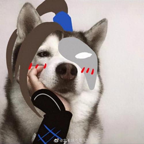 唐门机关猪(怎么做唐门机关阵)插图1