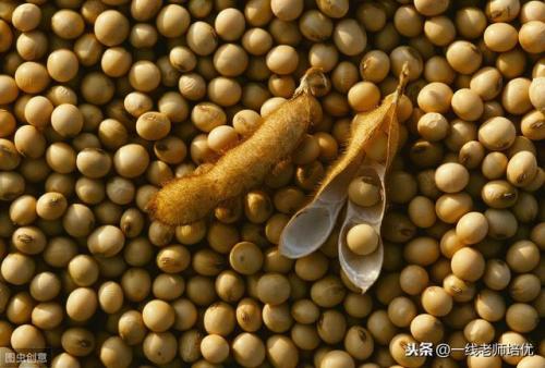 豌怎么组词-(豌可以怎么组词语)插图