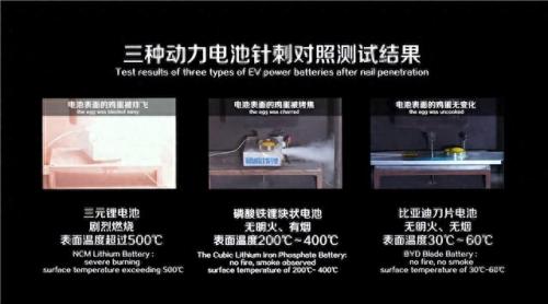 世界新能源开发排名前十(新能源企业世界排名)插图4