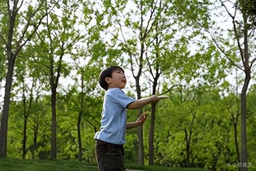 被挖眼男童最新消息(挖眼案最新结果)插图1