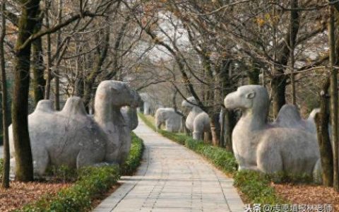 南通专升本排名前十(南通专升本难吗)