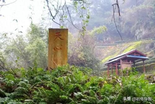 桂皮品牌排名前十(桂皮有哪些功效和用途)插图3