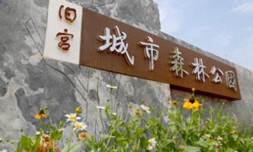 北京大兴区景区排名前十(大兴十大景区排名榜)插图4