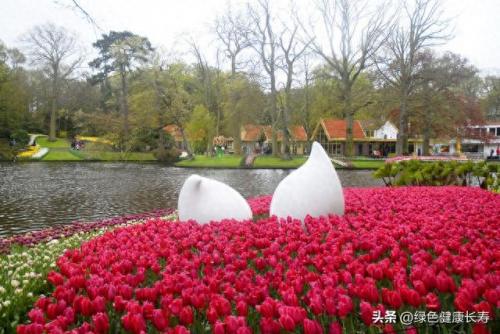荷兰住宅公园排名前十(荷兰小镇空中别墅)插图22
