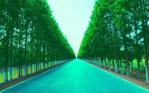 中国最强财经大学排名前十(六大财经院校排名)