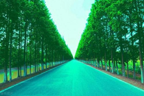 中国最强财经大学排名前十(六大财经院校排名)插图