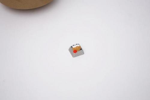 肉蒲是什么意思(节菖蒲和石菖蒲功效上的区别)插图6